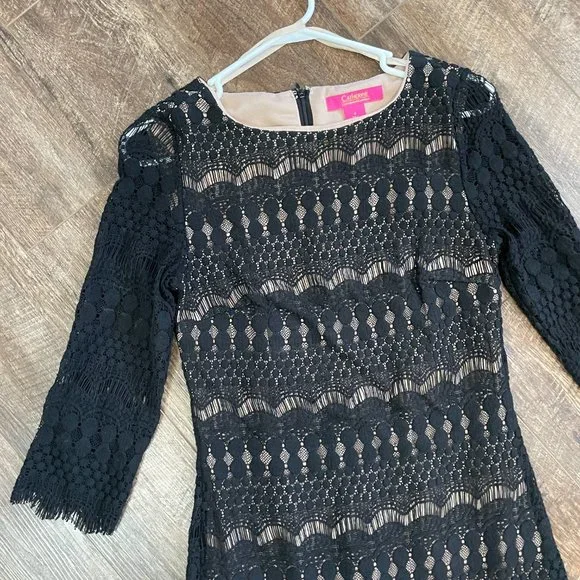 Catherine Malandrino Size 4 Black Lace Dress - Picture 3 of 5